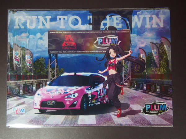 諏訪姫さまグッズ (11)
