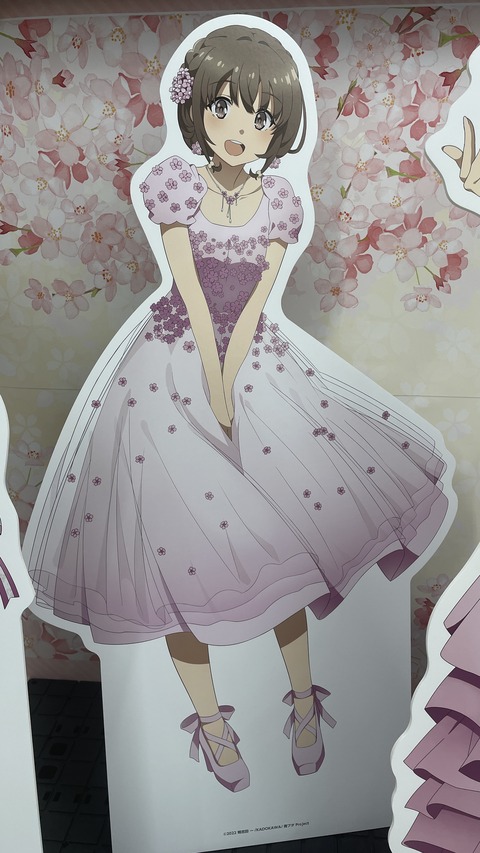 �ӥå�������ĥ֥������ (7)