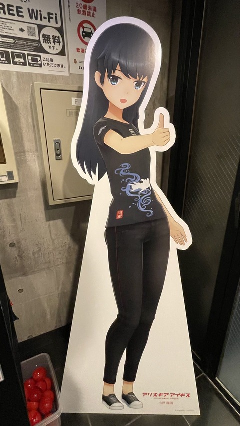 新宿 (3)_