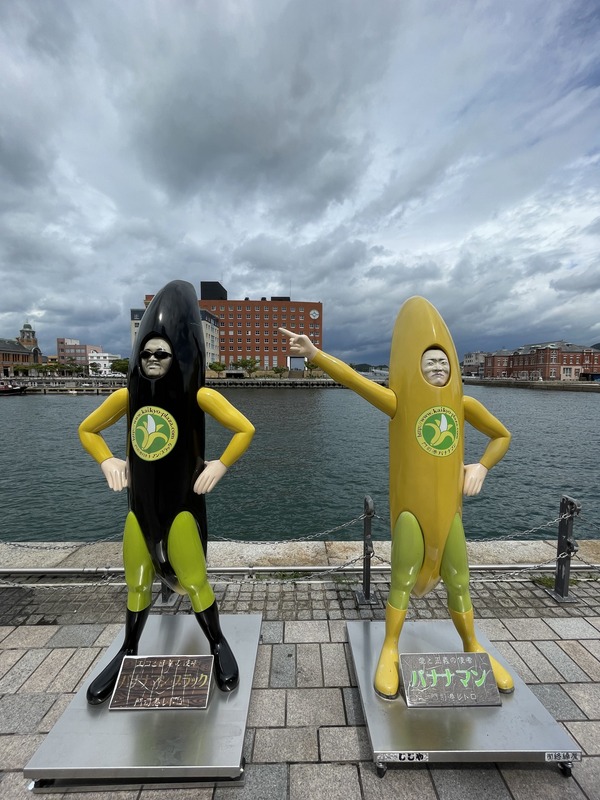 ��ʹ������� (10)