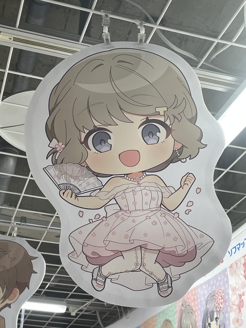 �ӥå�������ĥ֥������ (27)