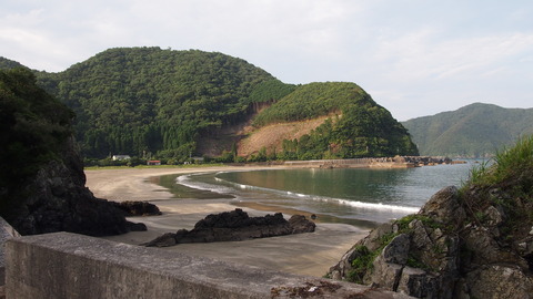 a9a258d3.jpg