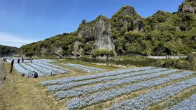 IMG_270153