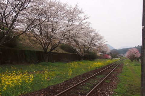 aa2c0626.jpg