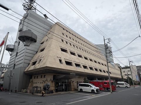 ������ܲ���������� (75)