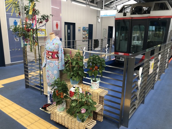 �������� (3)