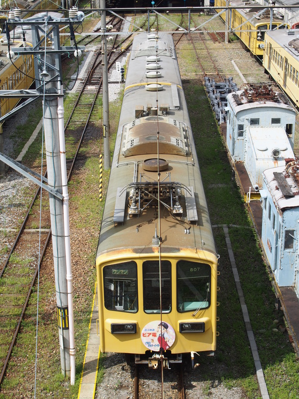 近江鉄道ビア電 (6)