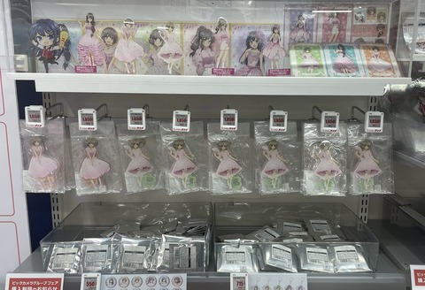 �ӥå�������ĥ֥������ (20)