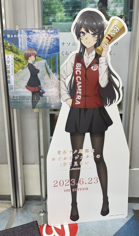 �ӥå���ŷ������ᤵ�� (12)_