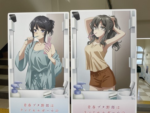 ���ĥ֥��˥��ɥ��륬����ƣ�� (65)