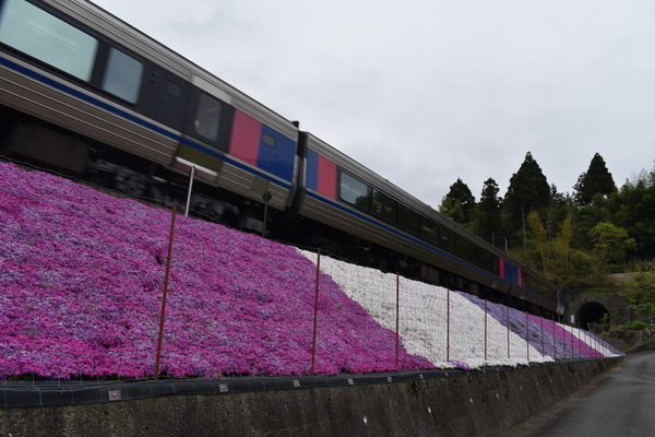 宮本武蔵生誕地 (11)