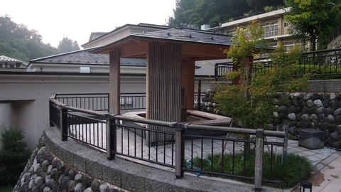 36白鷺の足湯
