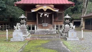 03