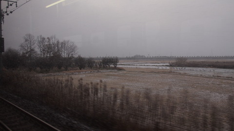 05山口雪