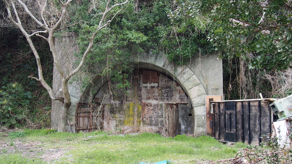 佐伯湾泊地 (29)