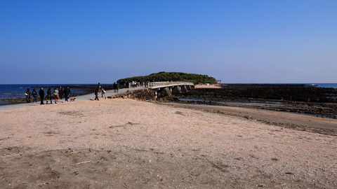 青島と弥生橋