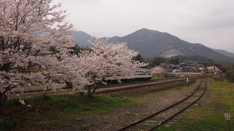 b7eb59e8.jpg