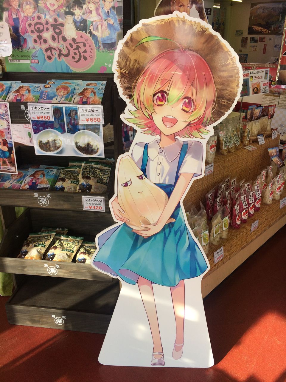 楽京さん家 すず音のチキンカレー 渚屋blog