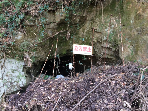 佐伯湾泊地 (44)