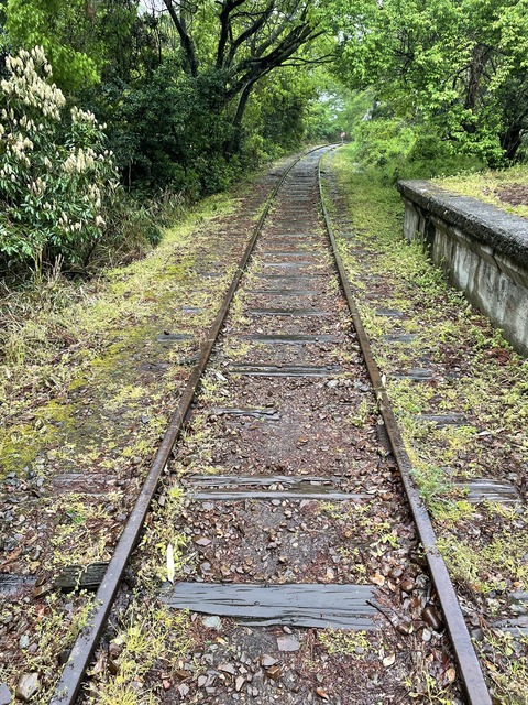 iPhone_kurayoshi_sen (13)_