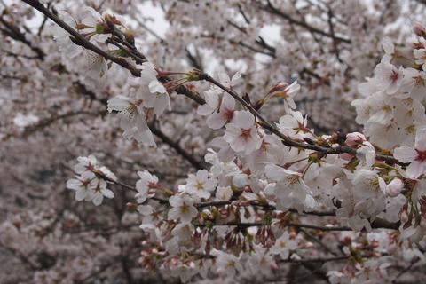 c11f7e15.jpg