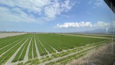 �縶Ŵƻ�ǹԤ���������󥢥�����ι (7)_