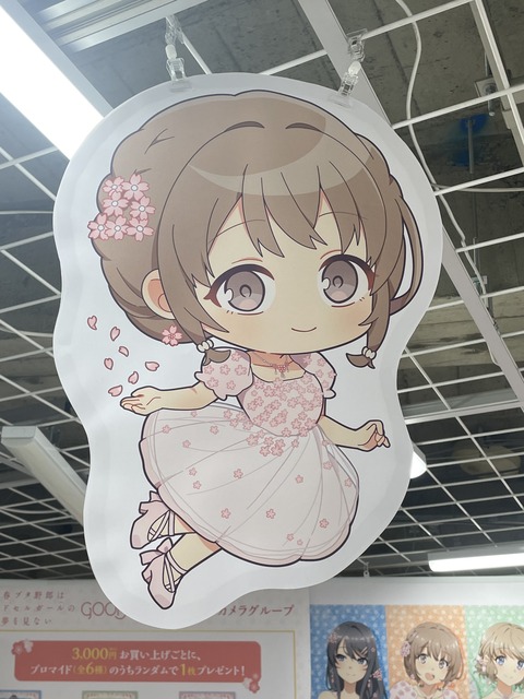 �ӥå�������ĥ֥������ (24)