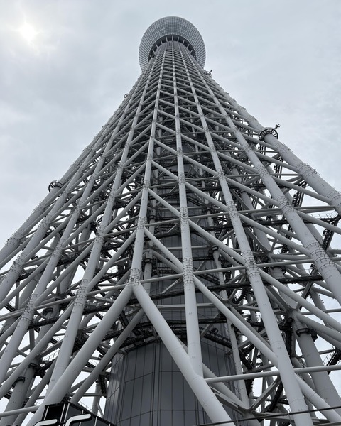 ������ܲ���������� (9)