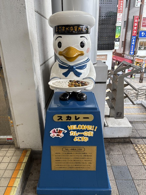 ���β��ܲ�� (4)