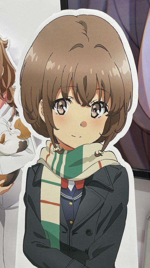 �ĥ֥�Ÿ��ŷ������³�� (5)