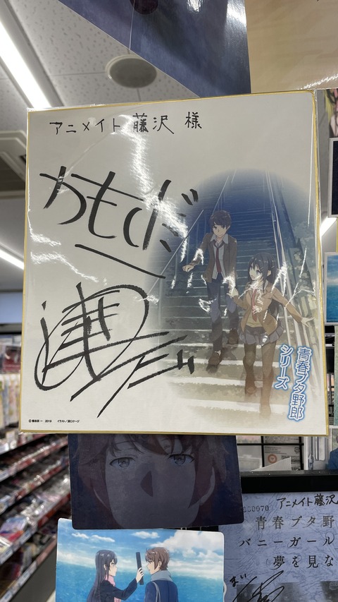 ���ĥ֥��˥��ɥ��륬����ƣ�� (40)