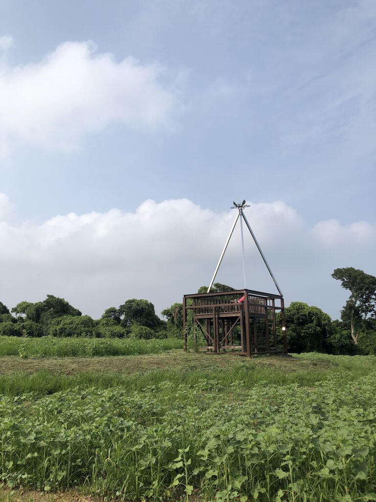 長崎鼻リゾートの向日葵 渚屋blog 長崎鼻リゾートの向日葵 渚屋blog