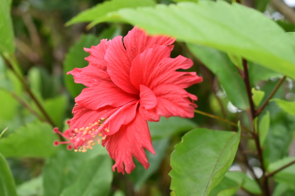 c62d1c5f.jpg