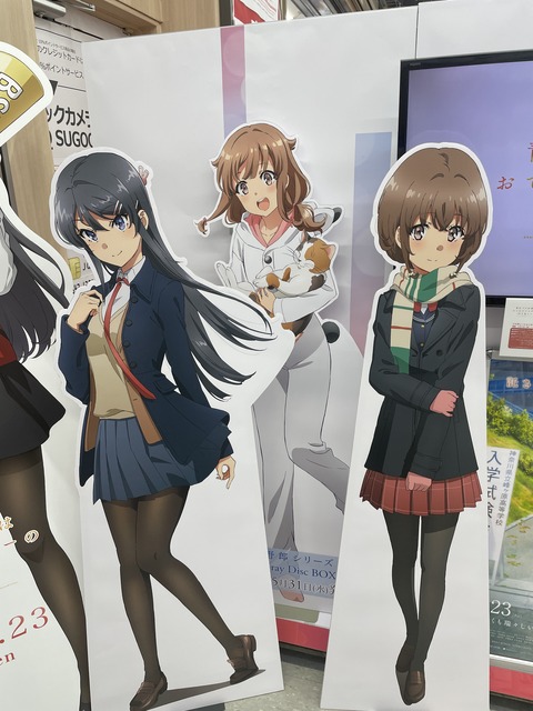 �ĥ֥�Ÿ��ŷ������³�� (12)