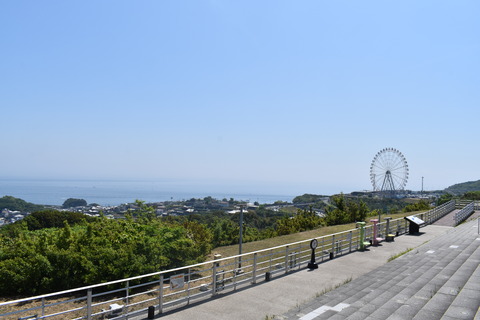 �դ������������ (2)