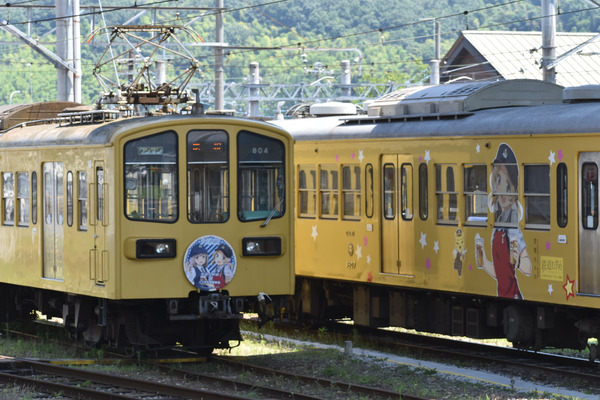 近江鉄道伊豆箱根鉄道コラボHM (10)