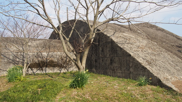佐伯湾泊地 (11)