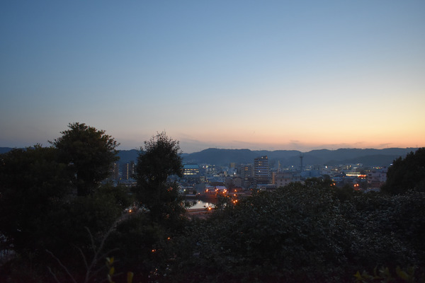 ZLS����ư0308 (16)