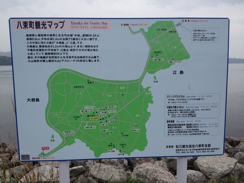 �����綶�ȶ����� (51)