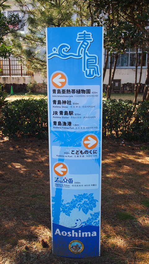青島案内看板