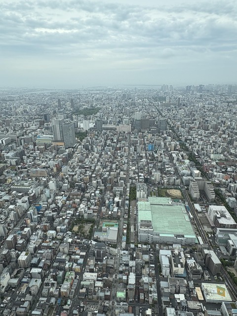 ������ܲ���������� (21)