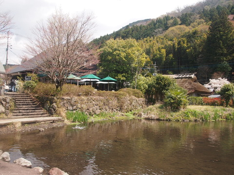 d2684810.jpg