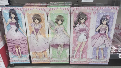 �ӥå�������ĥ֥������ (19)