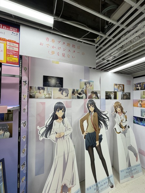 �ӥå���ƣ���ĥ֥����� (13)_
