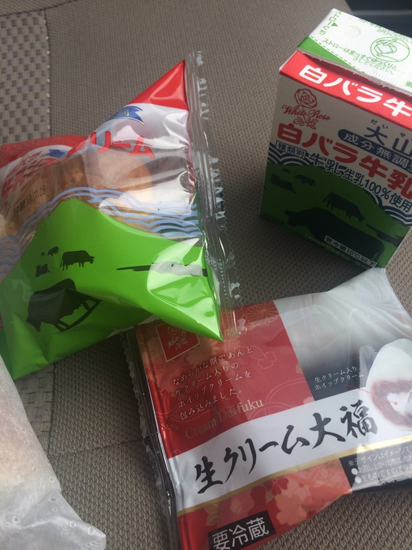 琴浦の水 (10)