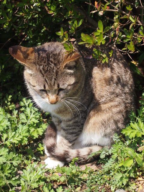 d5f62ea8.jpg