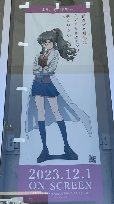 ���ĥ֥��˥��ɥ��륬����ƣ�� (51)