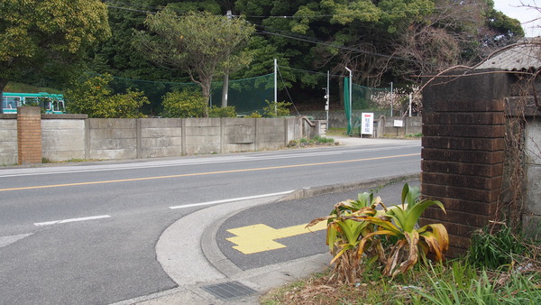 佐伯湾泊地 (36)