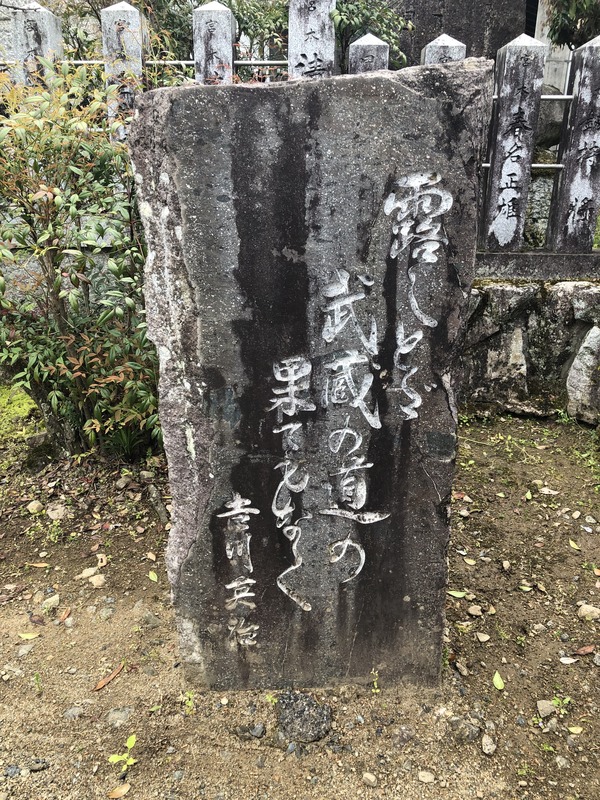 宮本武蔵 (18)
