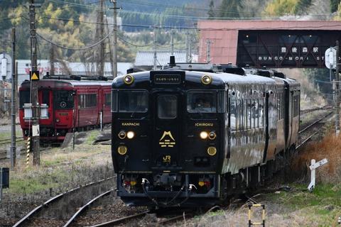 DSC_6585
